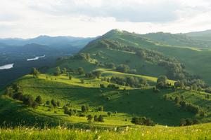 Весна на Алтае. Цветение маральника и места силы Алтая, 5 дней — фото 9
