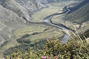 Большой Алтай. Обзорный тур на 7 дней — фото 11
