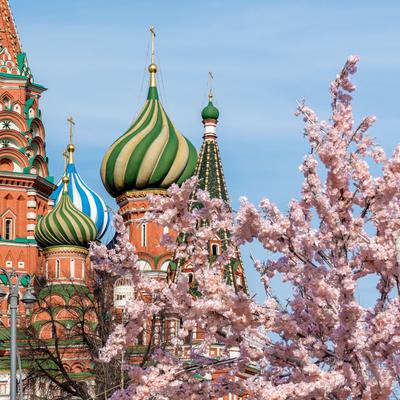 Майская перезагрузка в Москве