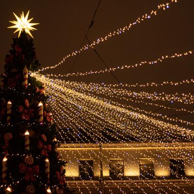 Новогодний классический Петербург. Тур на 4 дня