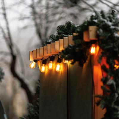 Рождественские сказки Балтики. Новогоднее путешествие по Калининградской области