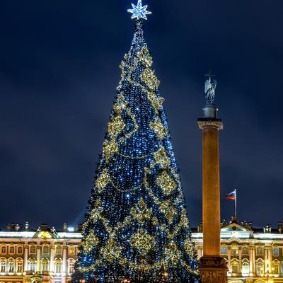 Волшебство Рождества от Санкт-Петербурга до Выборга. Автобусный тур из Москвы