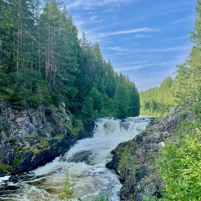 Весенние краски Севера. Карелия