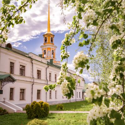 Поэт. Писатель. Драматург. Автобусный тур из Москвы: Рязань – Тула – Чехов