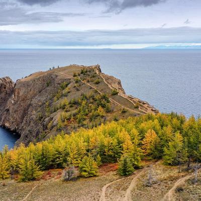 Байкальский гербарий