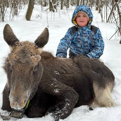 Новогодние выходные в Костроме: путешествие в край Снегурочки