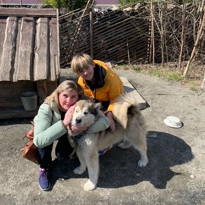 Загородный отдых в Карелии с хаски весной