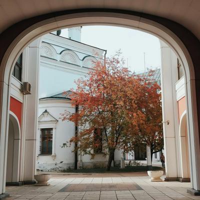 Московский калейдоскоп. Осенне-зимний тур на 6 дней
