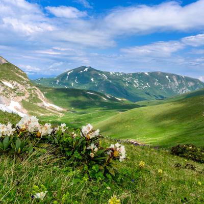 Западный вояж на Кавказе. Экскурсионный тур