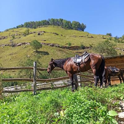Выходные в седле. Конный тур на Кавказе