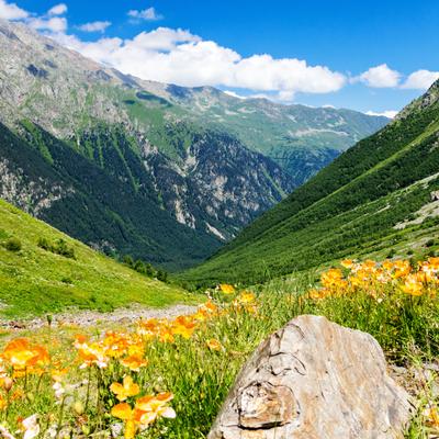 Три республики Кавказа с заездом в среду