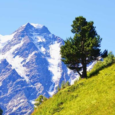 Кругом горы. Путешествие по Осетии и Ингушетии по средам