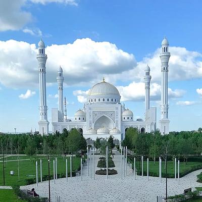 4 республики и 1001 впечатление! Экспресс-тур по Кавказу