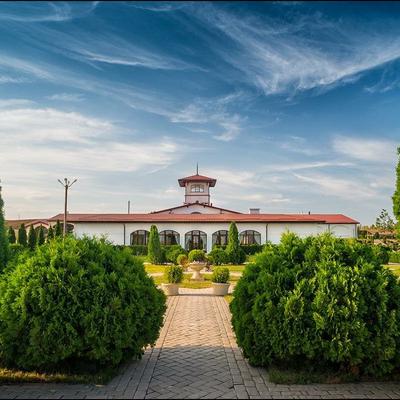 Винно-гастрономический тур по Краснодарскому краю