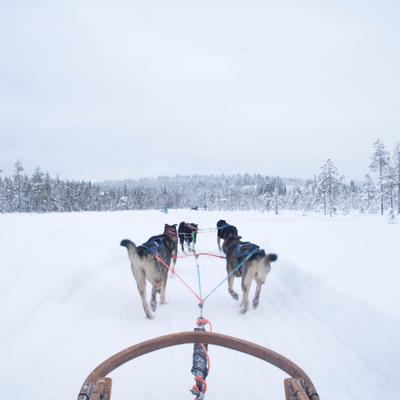 Осенне-зимний актив в Карелии