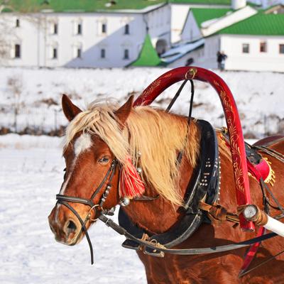 Царская Масленица в Суздале