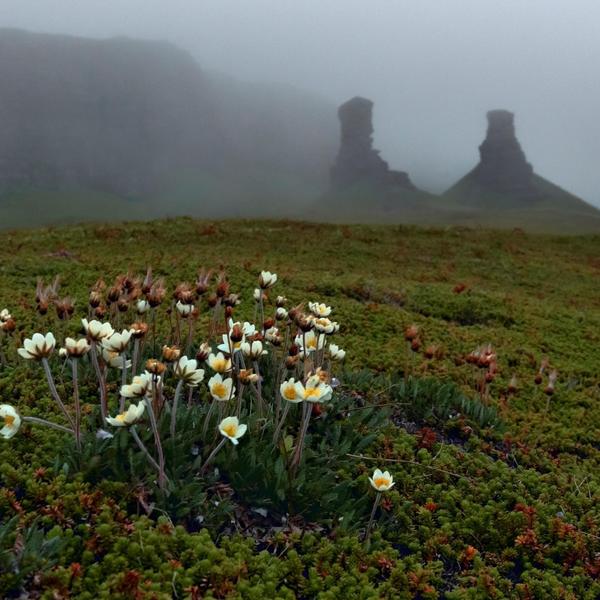Экспедиции на Средний и Рыбачий — Муста-Тунтури, мыс Немецкий и скалы Два Брата