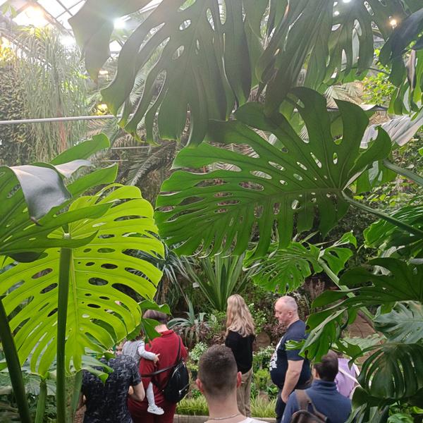 Самый северный ботанический сад России: тропики за Полярным кругом