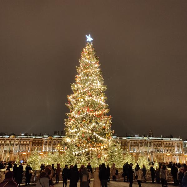 Главная ёлка — Дворцовая площадь, подсветка на Невском и лучшие точки для фото