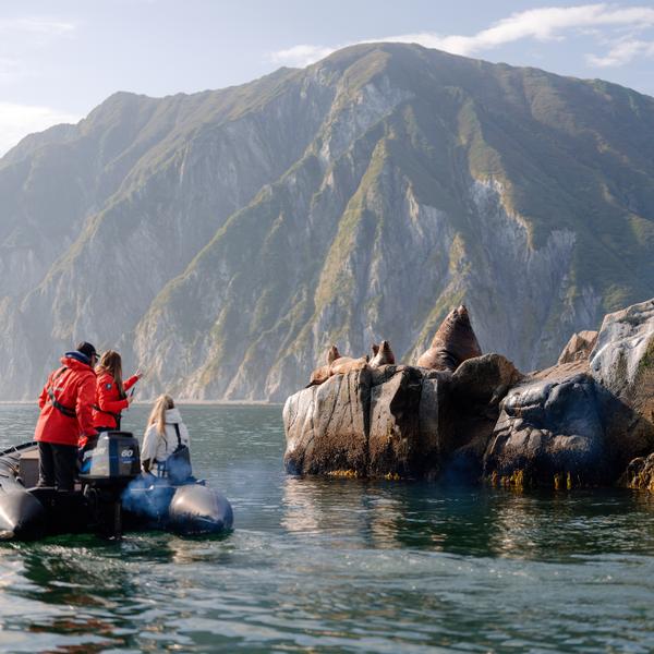 Командорские острова — самый большой морской заповедник страны