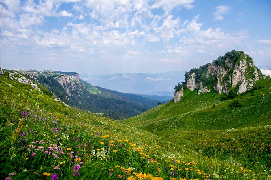 Природа Адыгеи летом