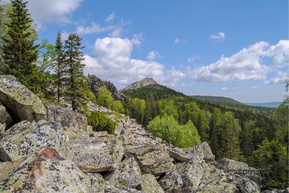 Лес на Урале