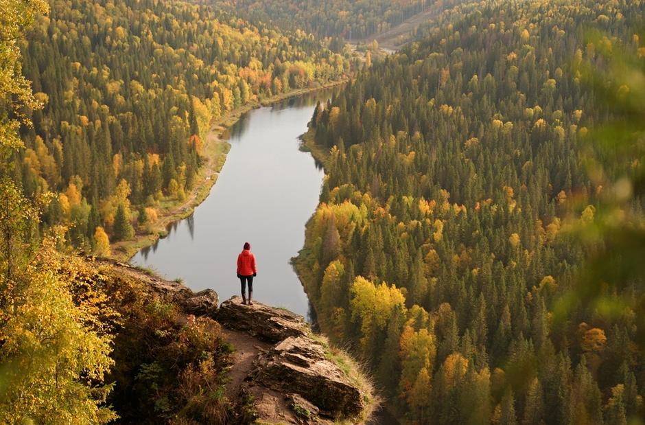 Осенний лес