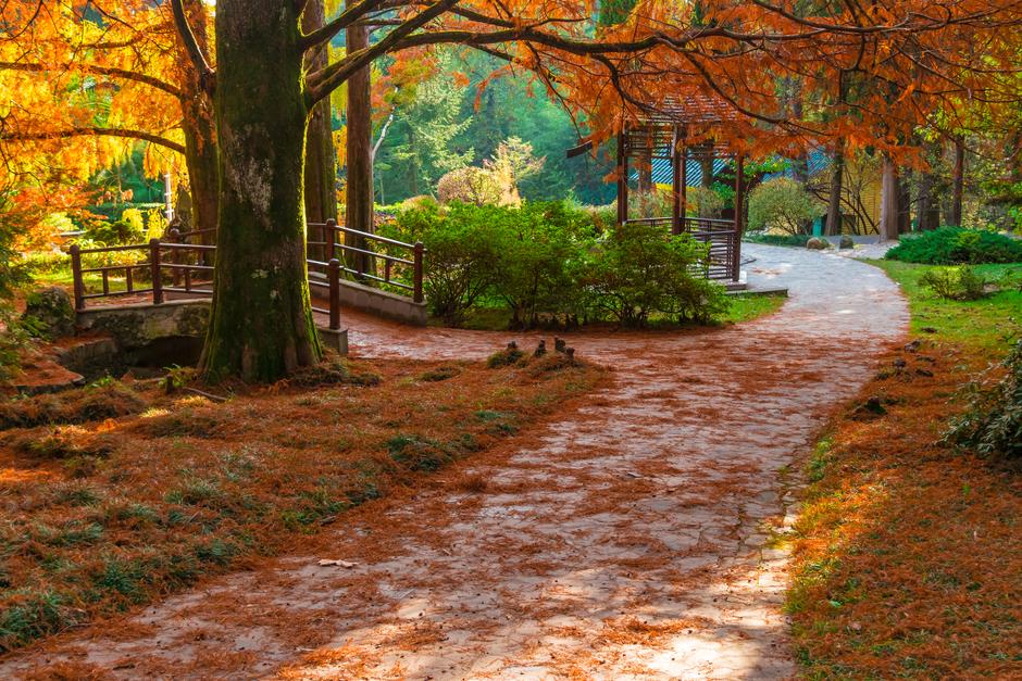 На юг. Железнодорожный круиз из Москвы в Сочи