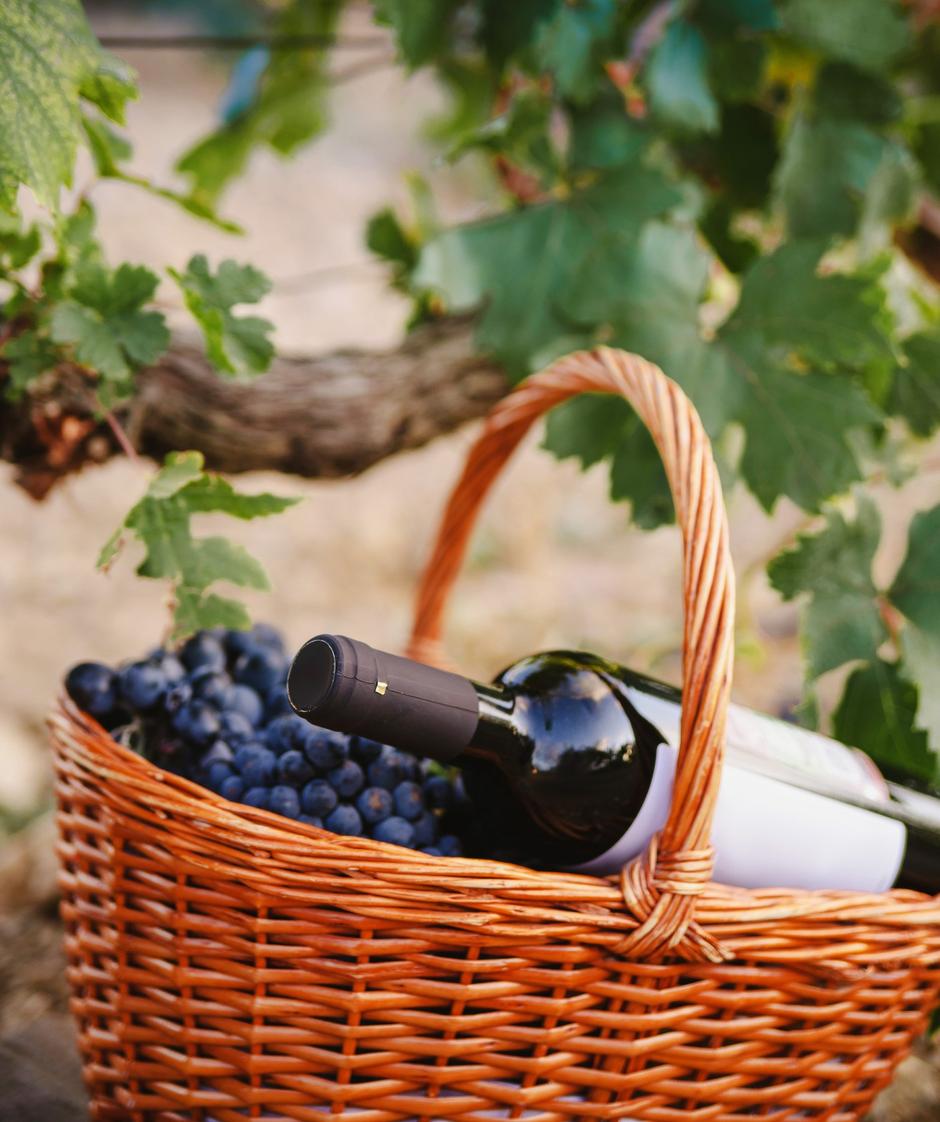 Гастротур на Кавказе. Железнодорожный круиз