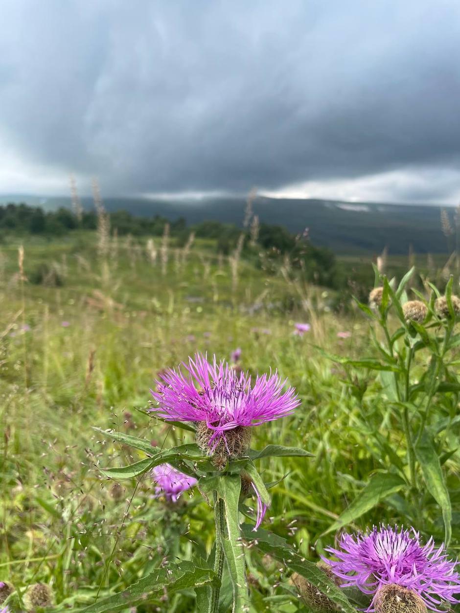 Гастротур на Кавказе. Железнодорожный круиз