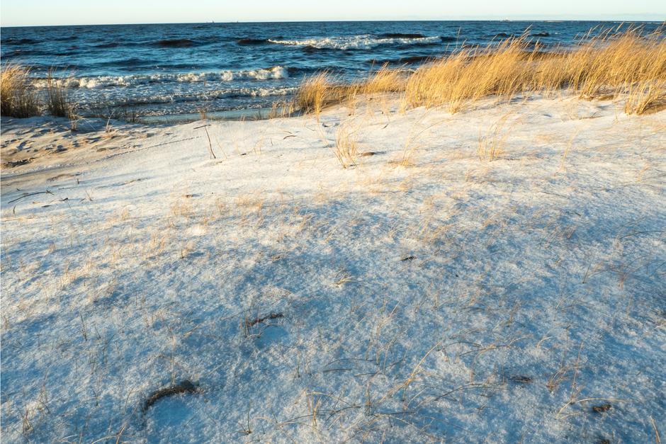 Новогодний тур по Калининградской области