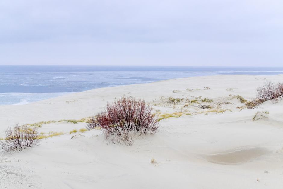 Новогодний тур в Калининград