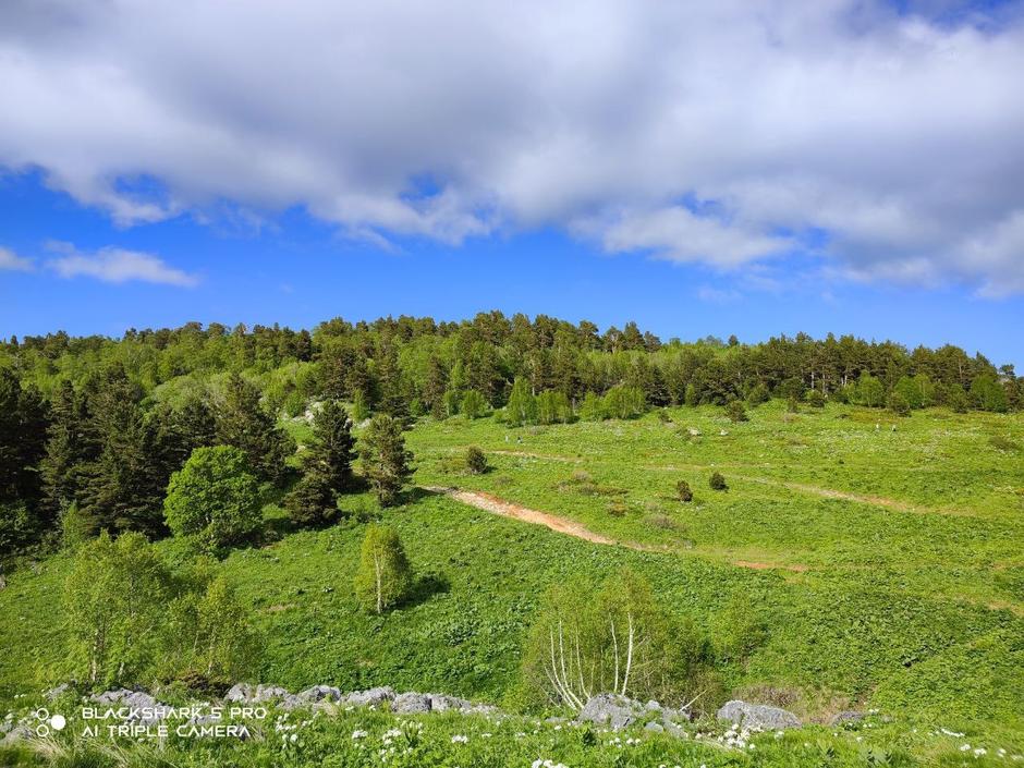 Гастротур на Кавказе. Железнодорожный круиз