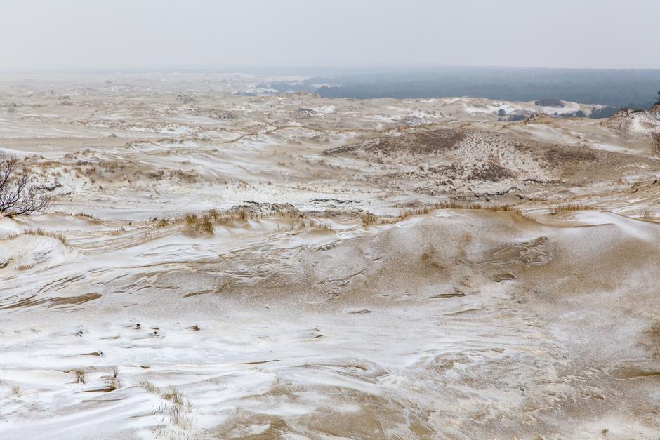 Новогодний тур по Калининградской области