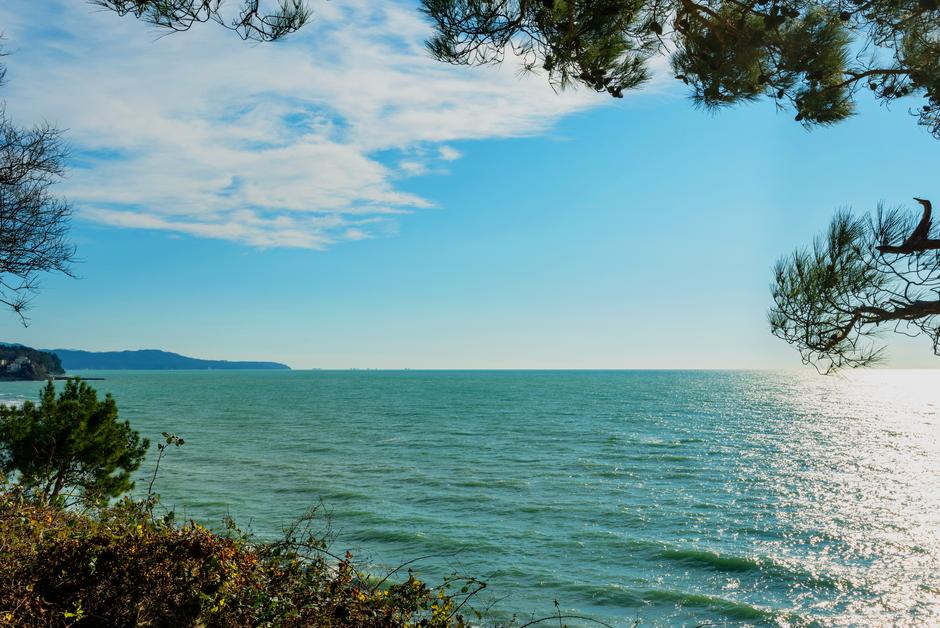 На юг. Железнодорожный круиз из Москвы в Сочи