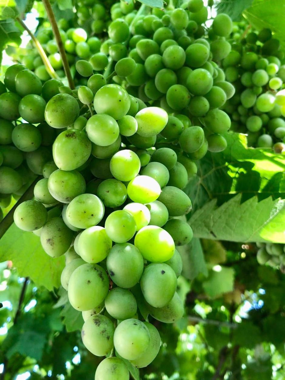 Крымский калейдоскоп с заездом в Волгоград