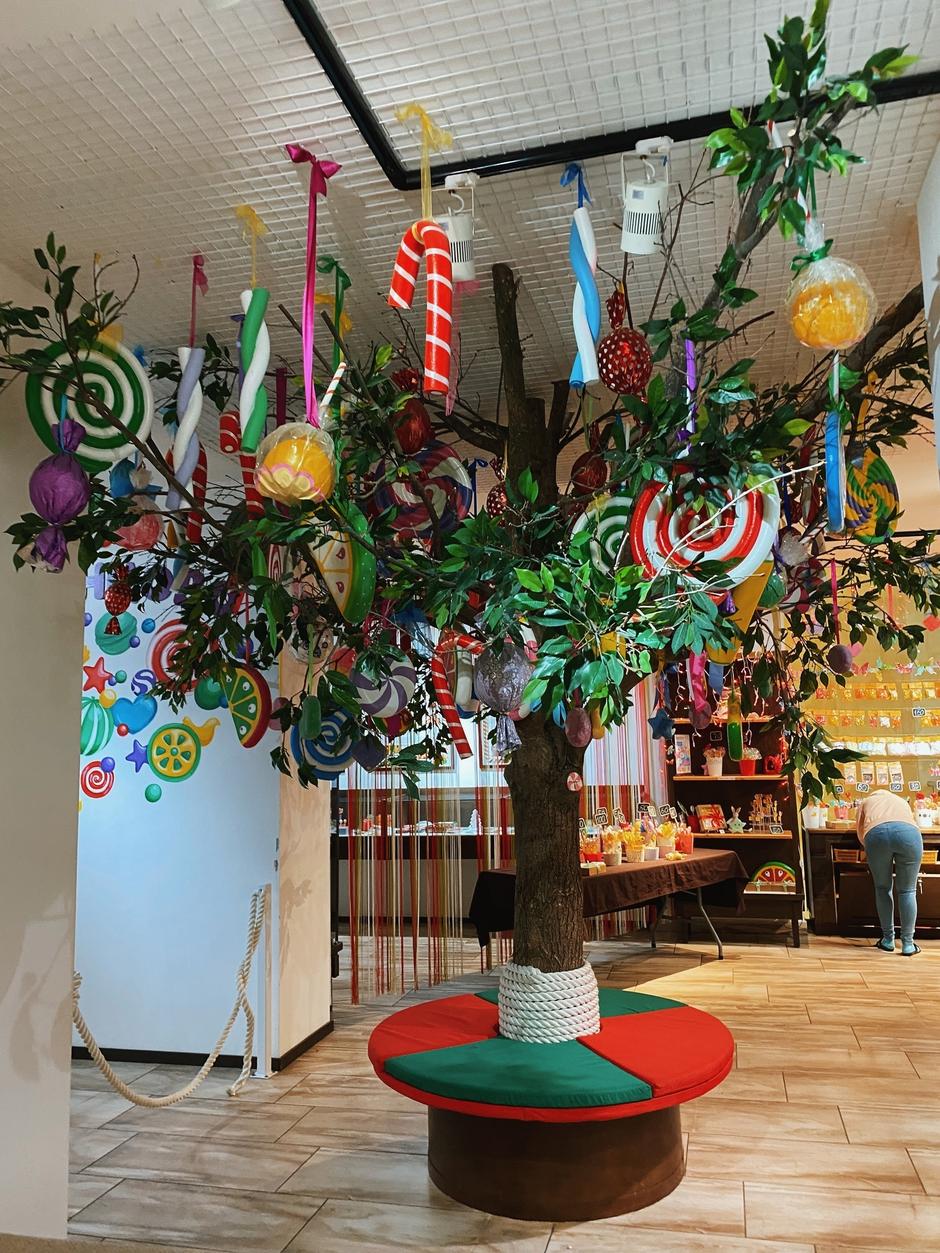 Сладкое путешествие в Киров. Автобусный тур из Перми