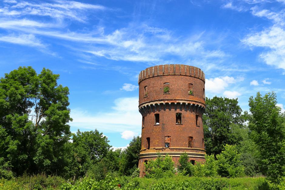 Янтарный вояж. Экскурсионный тур в Калининградскую область на 6 дней