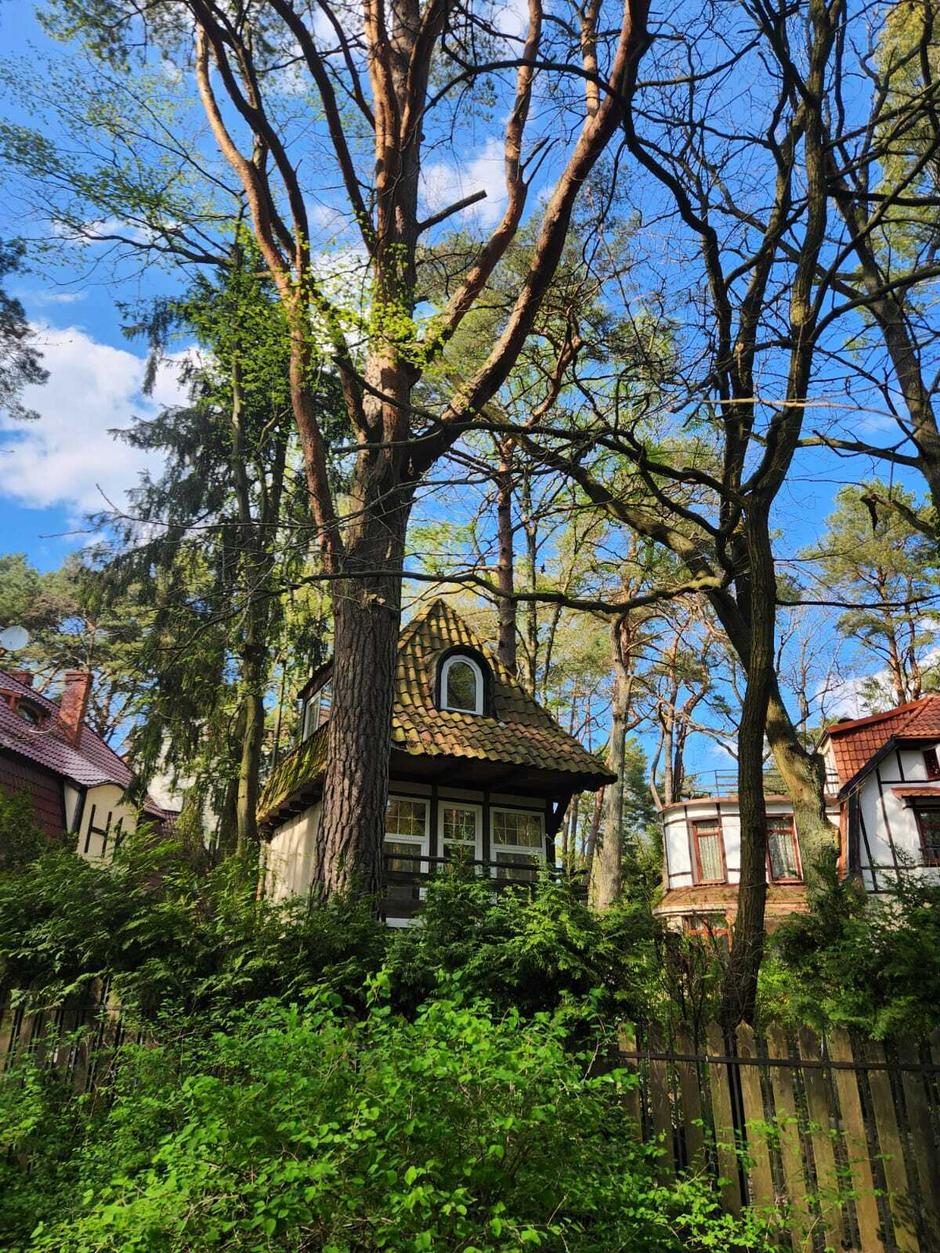 Кёнигсбергские выходные. Экскурсионный тур в Калининградскую область