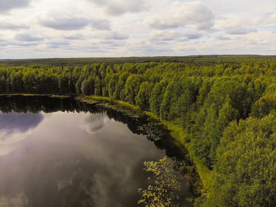 Фото с квадрокоптера волшебного озера в тайге в Костромской области