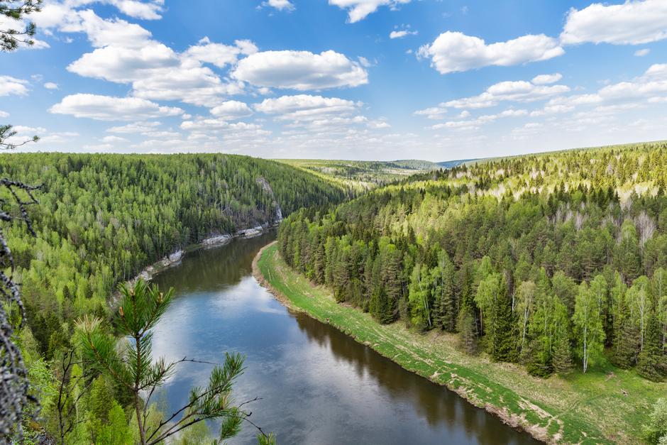 Река Чусовая в летний солнечный день